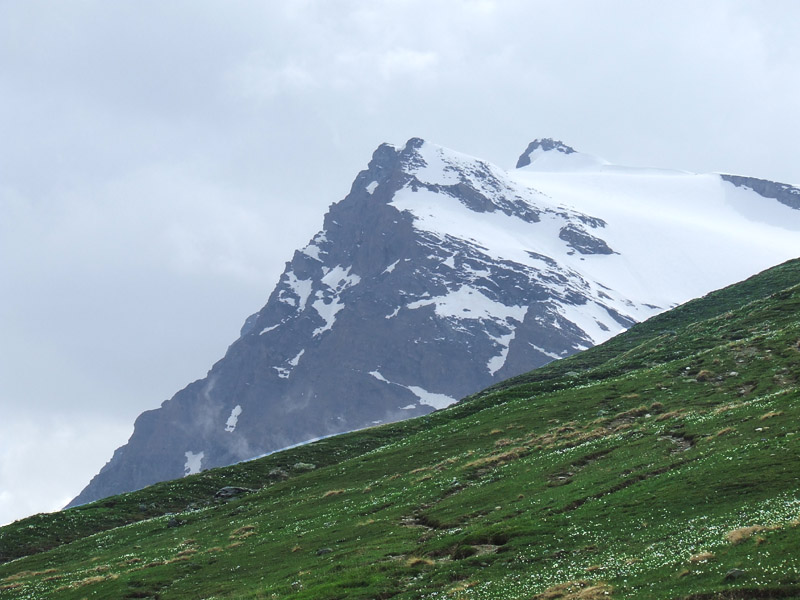 un metro quadrato di  paradiso - parco del gran paradiso